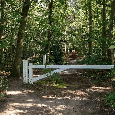 In With Wi-fi Holiday home