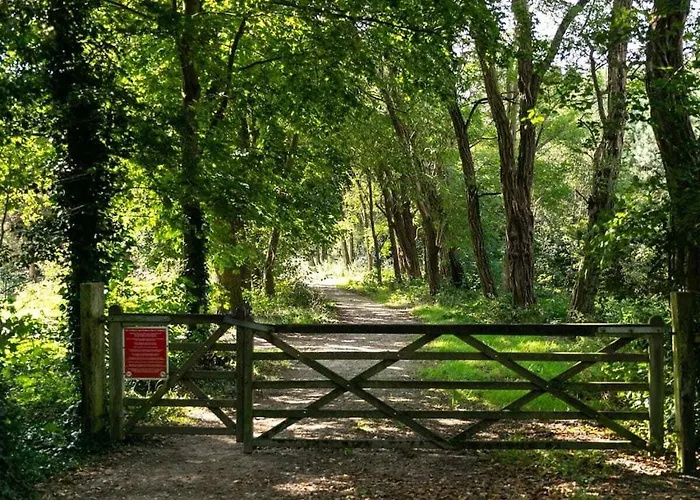 In With Wi-fi Teteringen