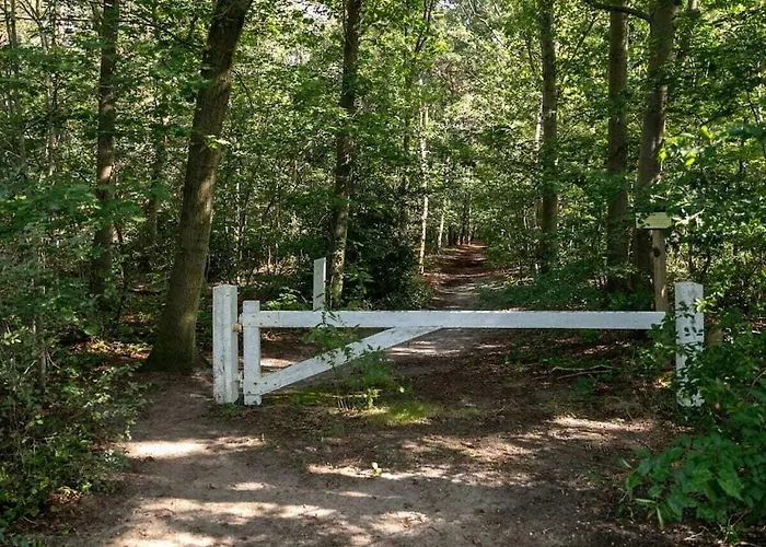 In With Wi-fi Ferienhaus